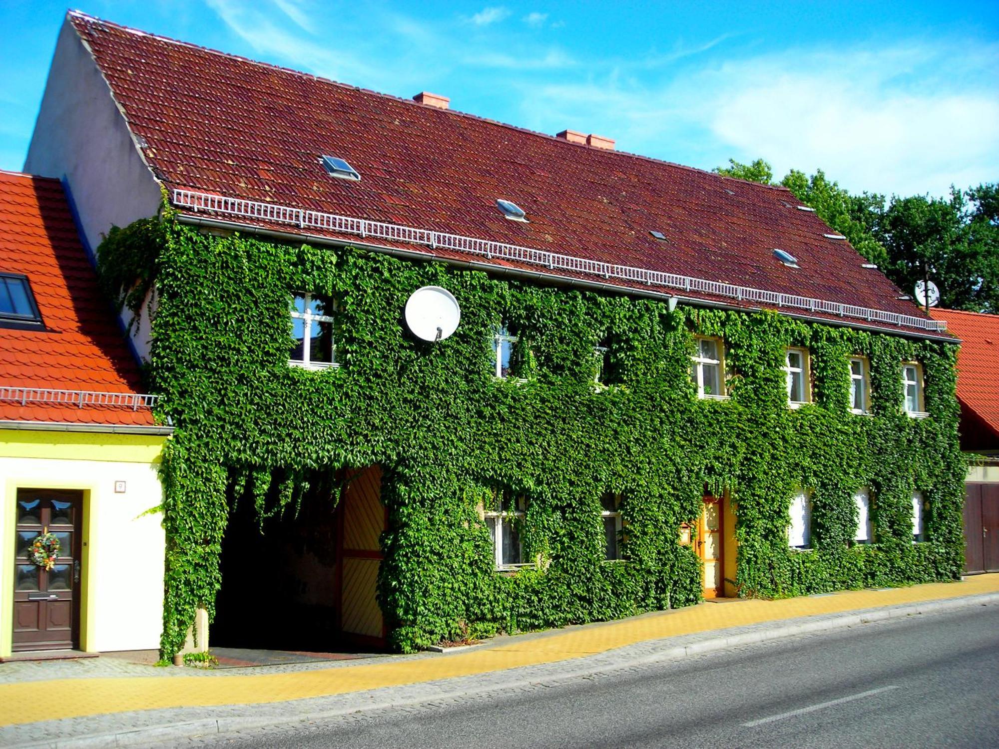 Ferienwohnung Auf Ehem. Alten Bauernhof 리벤발데 외부 사진
